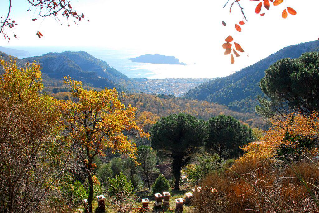 Image of Plot for Sale in Budva-Markovici-Montenegro, Image 3
